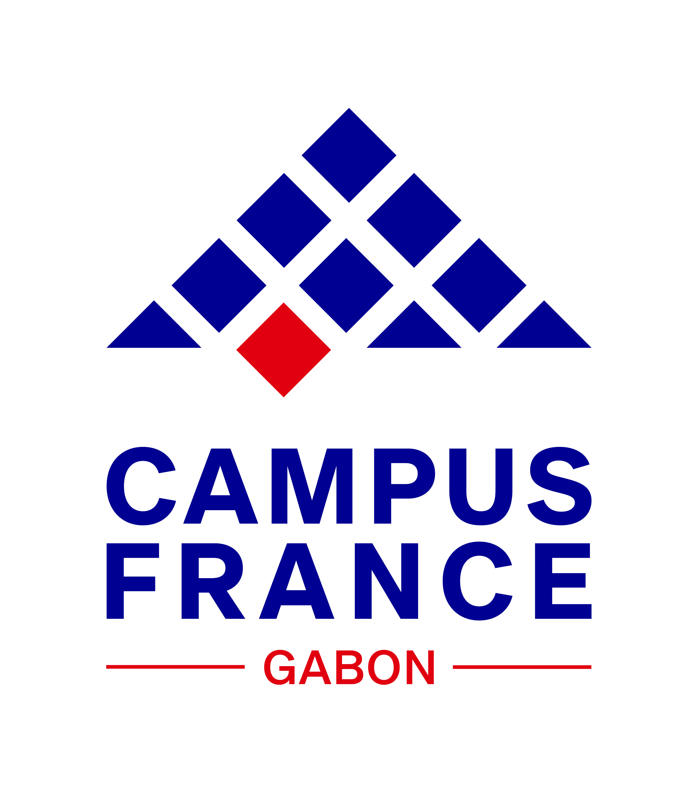 Accueil Campus France Gabon  Campus France